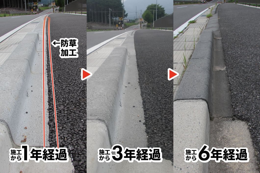 防草ブロックの経過観察