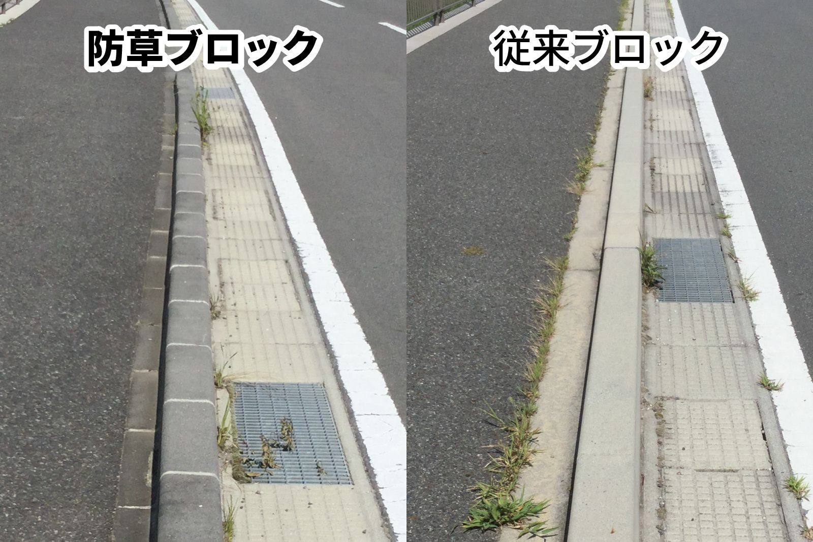 縁石　防草ブロックと従来品の比較