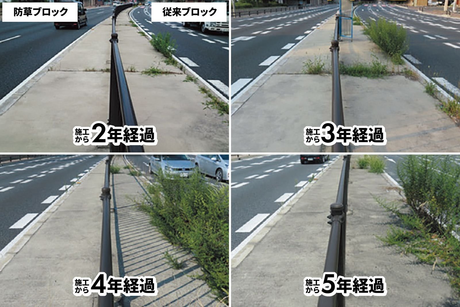 防草ブロック　経過観察