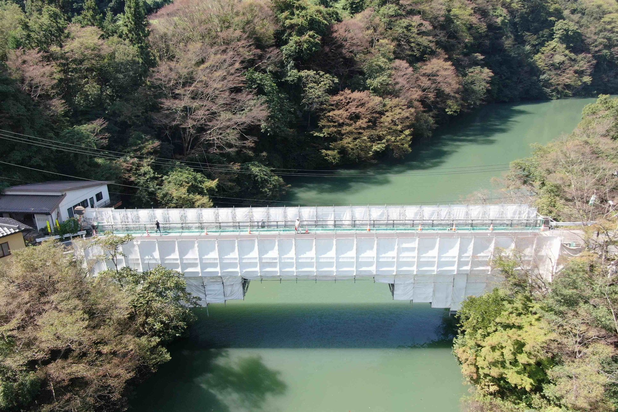 bridgerenewal