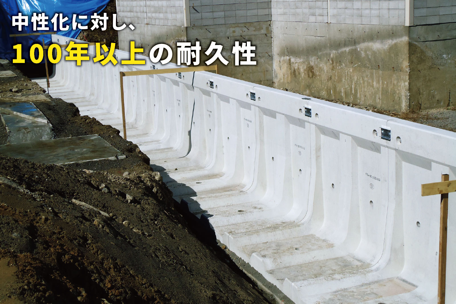 Re_thewall_top22