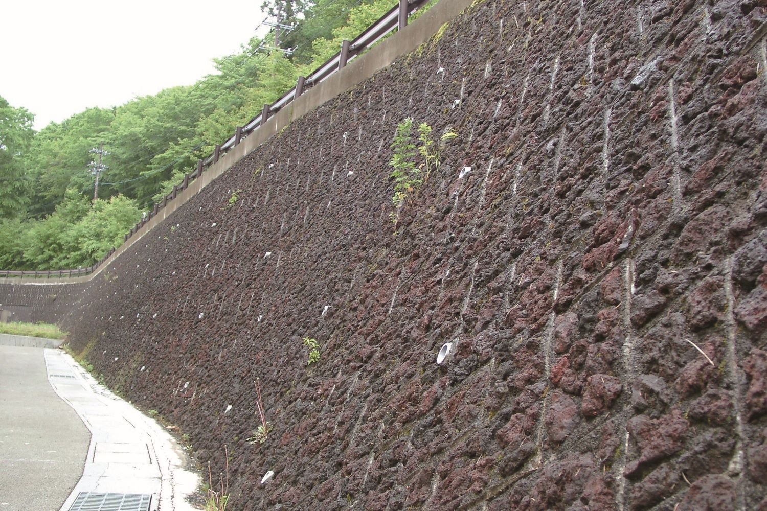 ナチュロック