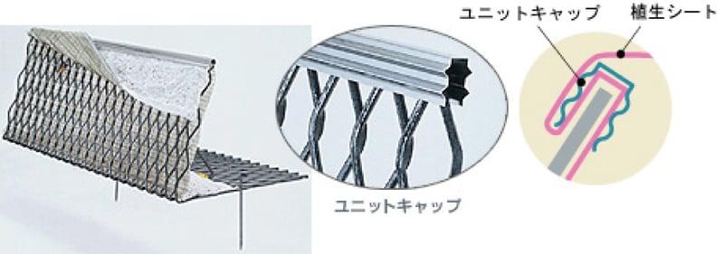 特長_1