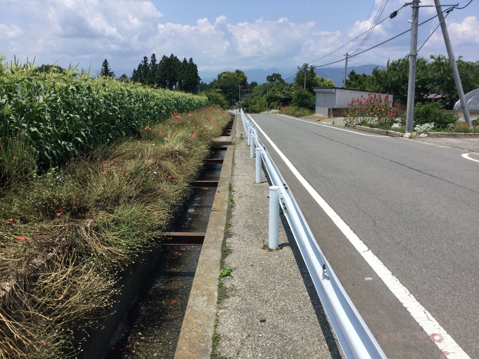マルチU縦断用センタースリット(大断面)-1
