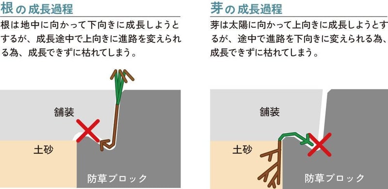 tokuyo_1_1
