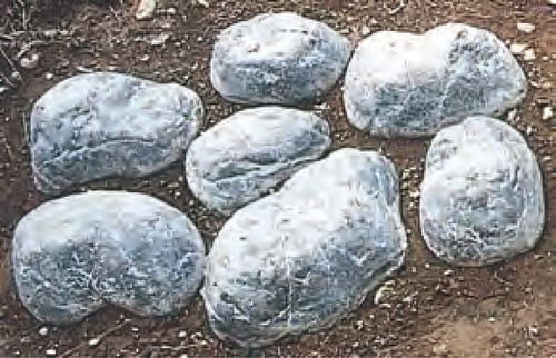 tokutyo1