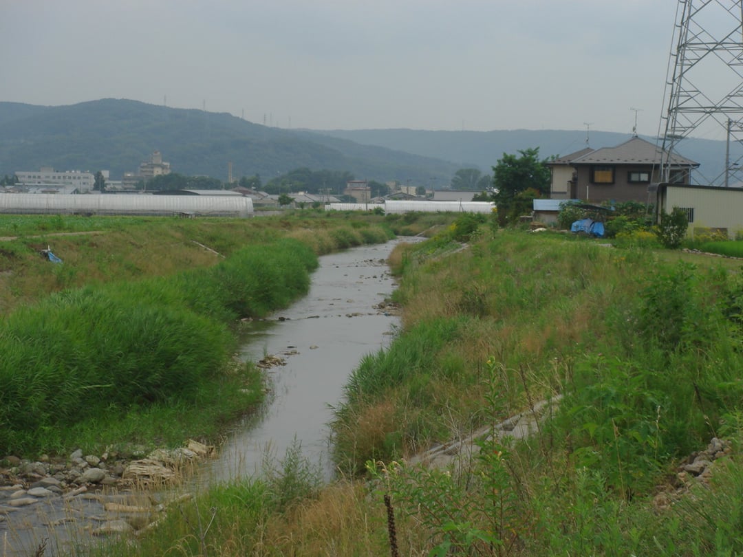 DSC02537 - コピー