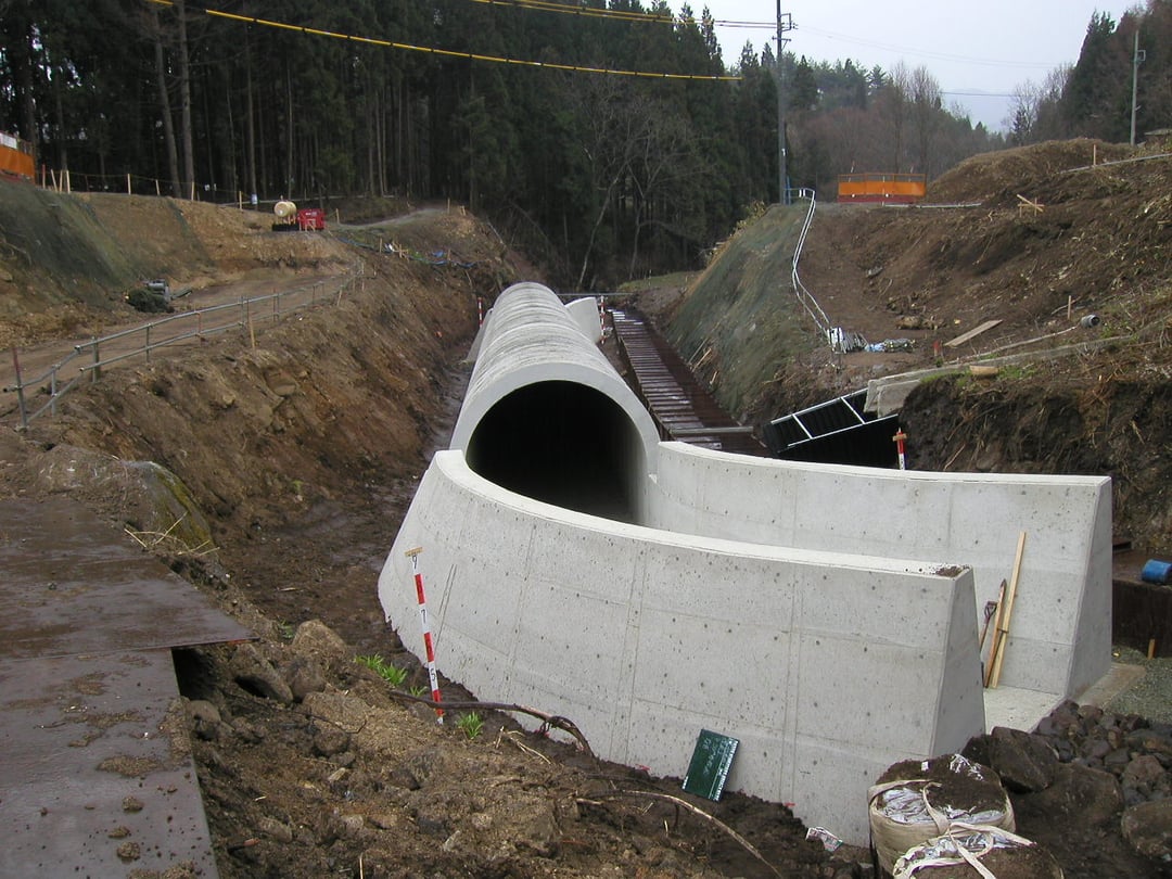 P4200015